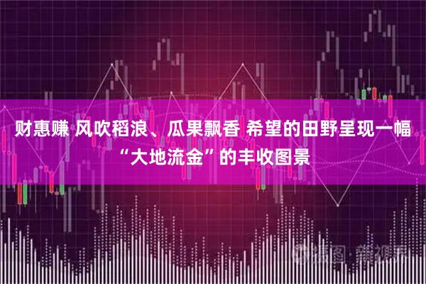 财惠赚 风吹稻浪、瓜果飘香 希望的田野呈现一幅“大地流金”的丰收图景