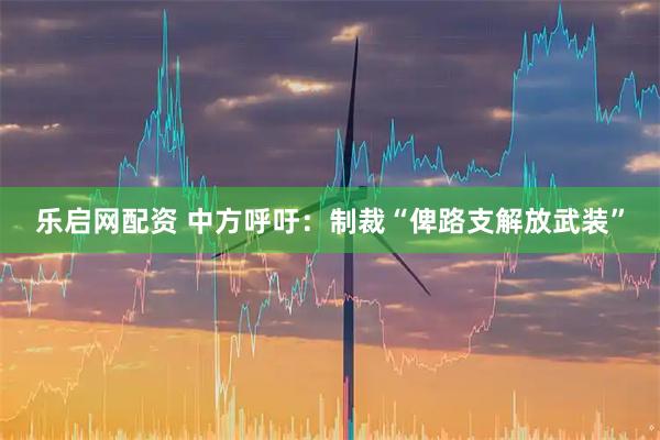 乐启网配资 中方呼吁：制裁“俾路支解放武装”