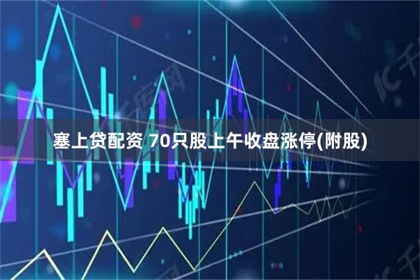 塞上贷配资 70只股上午收盘涨停(附股)