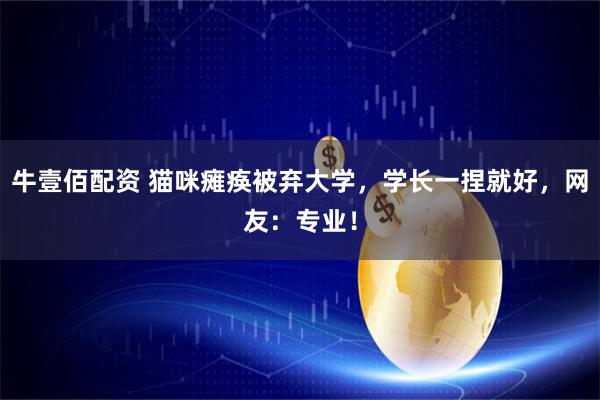 牛壹佰配资 猫咪瘫痪被弃大学，学长一捏就好，网友：专业！
