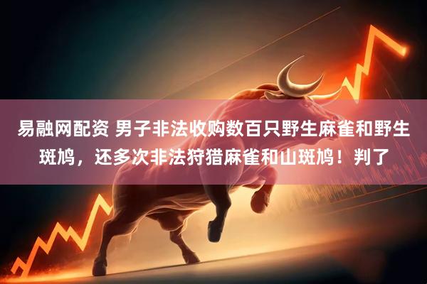 易融网配资 男子非法收购数百只野生麻雀和野生斑鸠，还多次非法狩猎麻雀和山斑鸠！判了